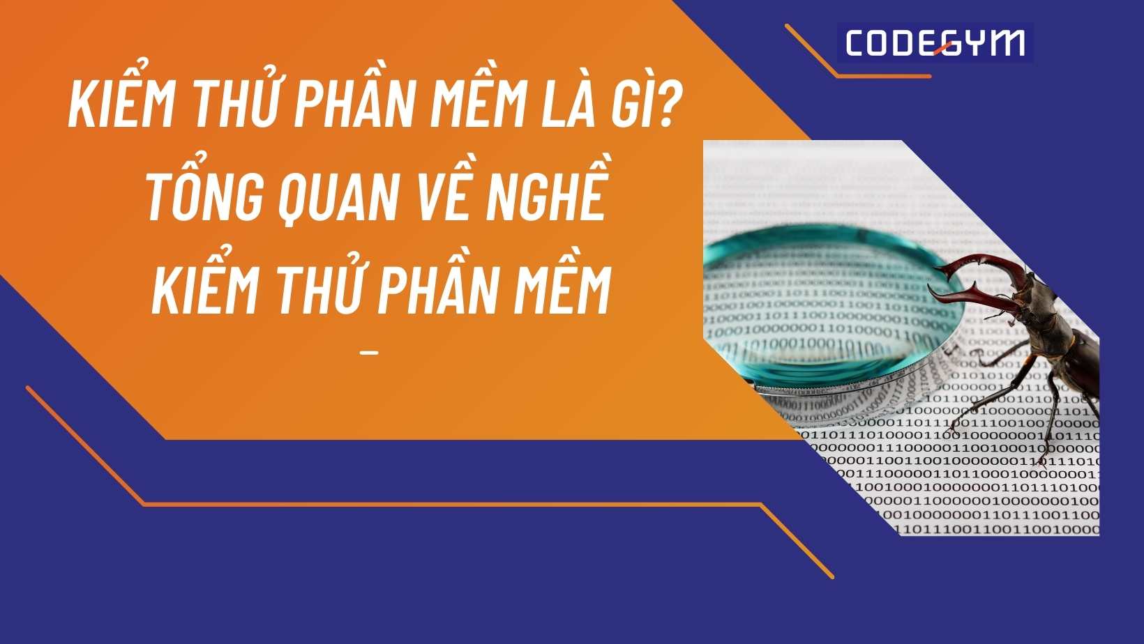 Kiểm thử phần mềm là gì