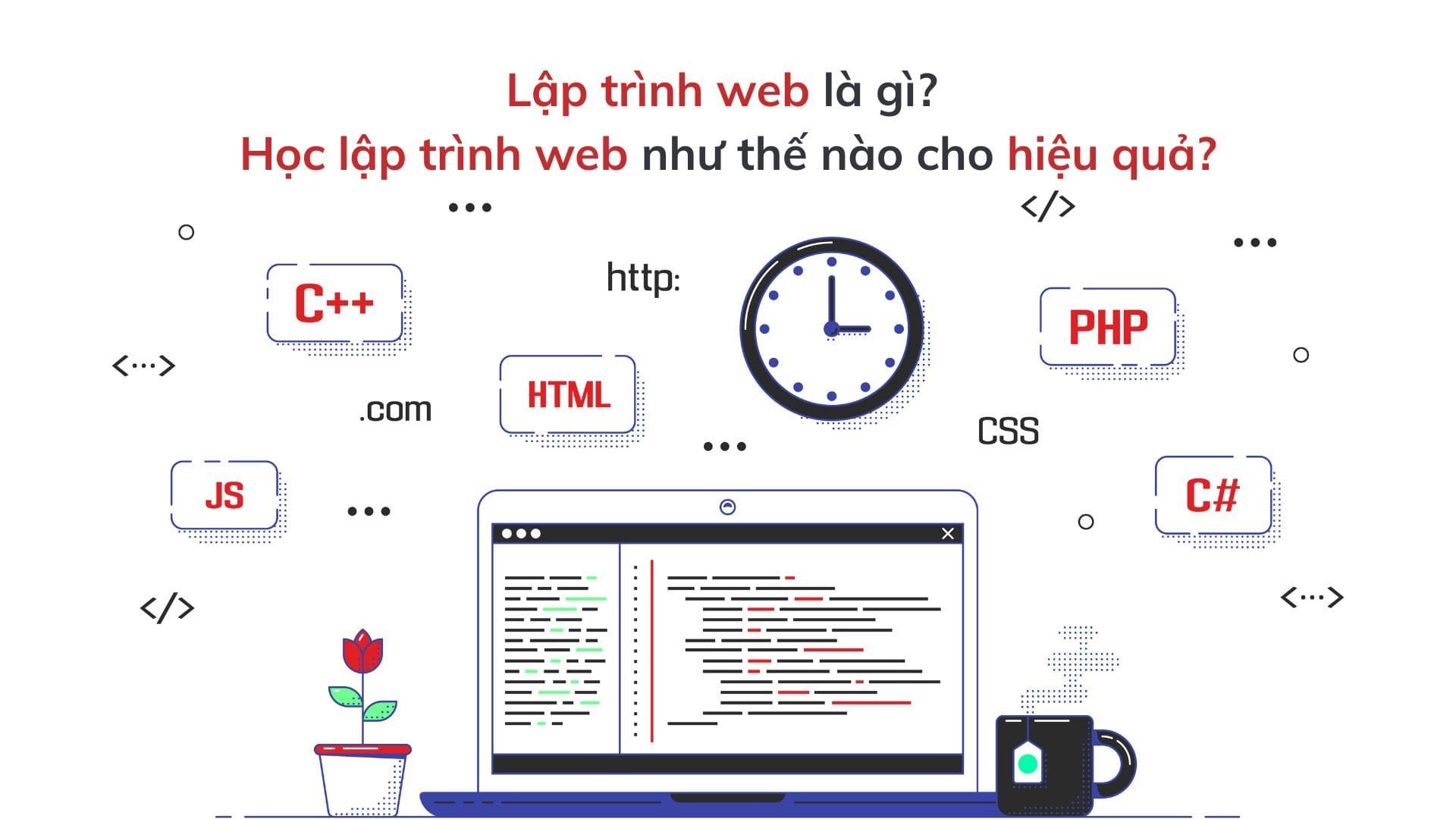 Lập trình web là gì?