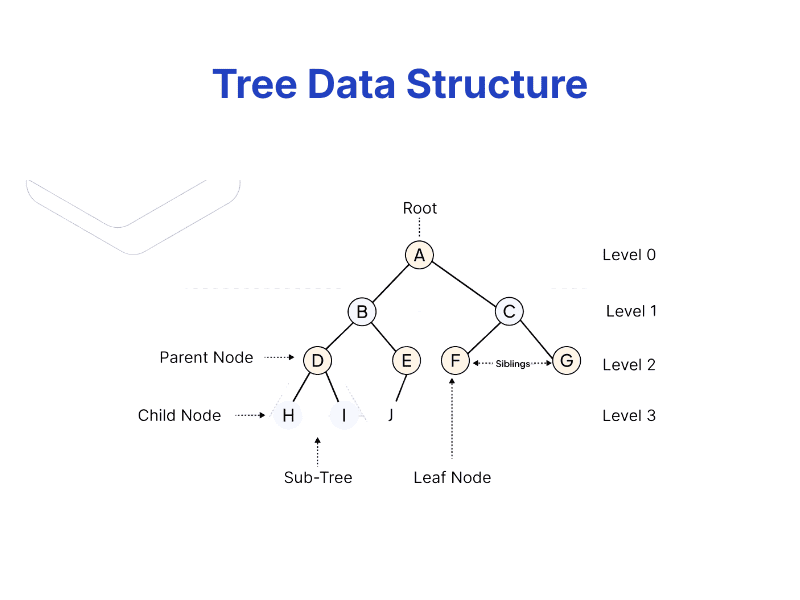 Minh họa cấu trúc dữ liệu cây (Tree) với mô hình phân cấp trong giải thuật