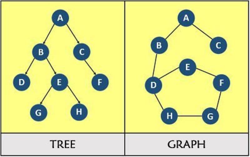 Sơ đồ cấu trúc dữ liệu phi tuyến tính phổ biến gồm Tree và Graph